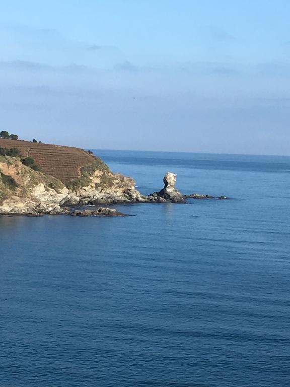 Ibis Styles Collioure Port Vendres Ξενοδοχείο Εξωτερικό φωτογραφία